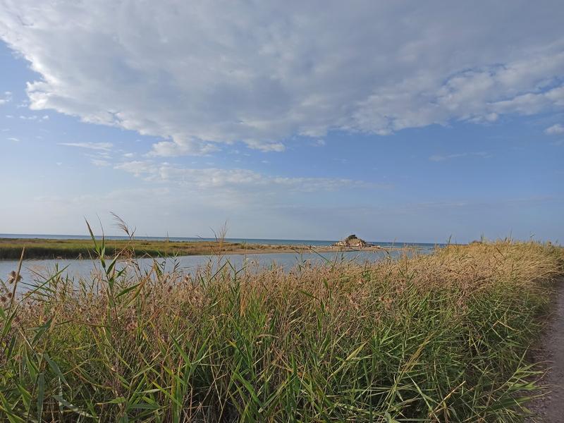 Canneti e acque della Laguna di Lesina